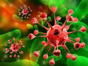 Interferon kontra wirusy, a starzenie się organizmu