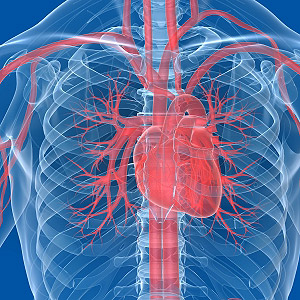 Profilaktyka dla nadciśnienia tętniczego, miażdżycy, zawału serca i udaru mózgu